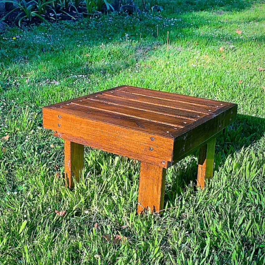 Mesa ratona 