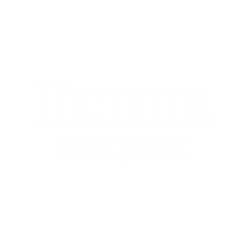Baum Playa Grande